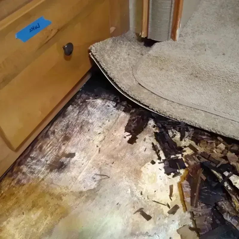 Best Wood Floor Water Damage Service in Dallas, OR